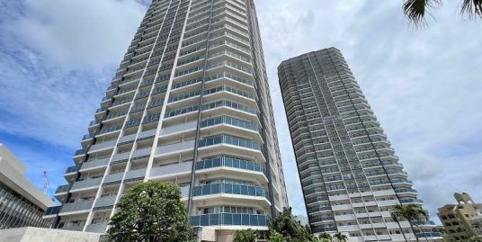 リュークスタワー･ザ･ウエスト　10階